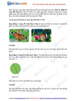 Tải Giải bài tập Toán lớp 6 Bài 21: Hình có trục đối xứng Kết Nối Tri Thức