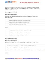 Tải Giải bài tập Tin học lớp 5 Bài 2: Học xây lâu đài bằng phần mềm Sand Castle Builder