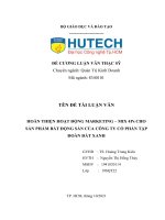 HOÀN THIỆN HOẠT ĐỘNG MARKETING MIX 4ps CHO sản PHẨM bđs của CÔNG TY CPDV bđs đất XANH (DXS) v3đã chu 
