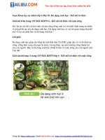 Tải Giải Khoa học tự nhiên 6 Bài 38: Đa dạng sinh học - Kết nối tri thức