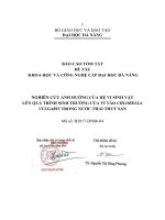 TÓM tắt LUẬN văn nghiên cứu ảnh hưởng của hệ vi sinh vật lên quá trình sinh trưởng của tảo chlorella vulgaris trong nước thải thủy sản 