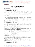 Tải Hướng dẫn soạn vằn 6 Cây tre Việt Nam (Ngắn gọn)