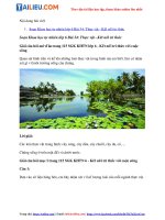 Tải Giải Khoa học tự nhiên 6 Bài 34: Thực vật - Kết nối tri thức