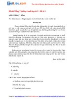 Tải 2 Bộ đề thi học kì 2 lớp 4 môn Tiếng Việt năm 2021 - Phần 1 (Có đáp án)