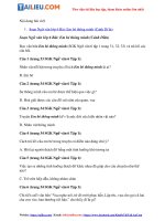 Tải Soạn Văn 6 Bài: Em bé thông minh Tập 1 - Cánh Diều