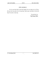 (Luận văn học viện tài chính) tổ chức công tác kế toán vốn bằng tiền tại CÔNG TY cổ PHẦN THƯƠNG mại – DU LỊCH hà LAN 