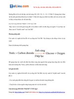 Tải Giải Khoa học tự nhiên lớp 7 Bài 23: Quang hợp ở thực vật - Chân trời sáng tạo