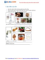 Tải Giải Khoa học tự nhiên 6 Bài 28: Nấm - Chân trời sáng tạo