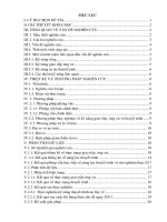 Nghiên cứu KHKT Hành vi, Một số giải pháp nâng cao kỹ năng giao tiếp ứng xử và năng  lực thuyết trình cho học sinh THPT