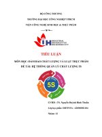 TIỂU LUẬN môn học đảm bảo CHẤT LƯỢNG và LUẬT THỰC PHẨM đề tài hệ THỐNG QUẢN lý CHẤT LƯỢNG 5s 