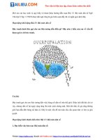 Tải Soạn văn 8 VNEN Bài 13: Bài toán dân số