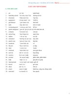 bai tap tieng anh 6 global success hoc ki 1 2 