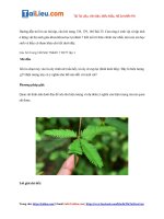 Tải Giải Khoa học tự nhiên lớp 7 Bài 33: Cảm ứng ở sinh vật và tập tính ở động vật - Kết nối tri thứ...