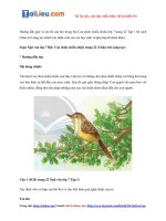 Tải Soạn văn 7 CTST Tập 1 bài Con chim chiền chiện trang 22