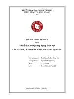 (Tiểu luận FTU) thất bại trong ứng dụng ERP tại the hershey company và bài học kinh nghiệm 