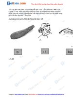 Tải Giải VBT Tiếng Việt 1 Bài 12: i, a trang 13 Tập 1