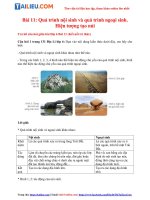 Tải [Kết Nối Tri Thức] Soạn Địa lý lớp 6 Bài 11: Quá trình nội sinh và quá trình ngoại sinh. Hiện tư...