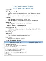 giáo án hoạt động trải nghiệm lớp 2 kết nối tri thức tuần  1 (17) 