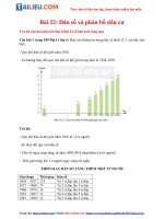 Tải [Chân Trời Sáng Tạo] Soạn Địa lý lớp 6 Bài 22: Dân số và phân bố dân cư