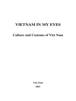 Việt Nam trong mắt tôi