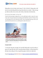 Tải Giải Khoa học tự nhiên lớp 7 Bài 39: Chứng minh cơ thể sinh vật là một thể thống nhất - Chân trờ...