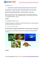 Tải Giải Khoa học tự nhiên 6 Bài 26: Khóa lưỡng phân - Kết nối tri thức