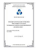Tổng hợp nanocellulose từ phụ phẩm nông nghiệp và ứng dụng  