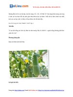 Tải Giải Khoa học tự nhiên lớp 7 Bài 34: Vận dụng hiện tượng cảm ứng ở sinh vật vào thực tiễn - Kết...