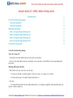 Tải Soạn Sinh Lớp 8 Bài 27: Tiêu hóa ở dạ dày đầy đủ nhất