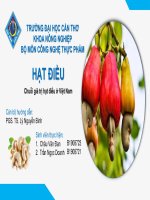 CHUỔI GIÁ TRỊ HẠT ĐIỀU