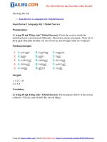 Tải Giải Tiếng Anh 7 Review 1 Language trang 38 Global Success Kết nối tri thức