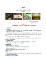 Bài 10, văn 7  dự án 