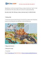 Tải Soạn văn 7 KNTT Tập 2 bài Thiên nga, cá măng và tôm hùm trang 23, 24