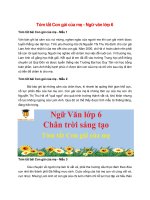 4 mau tom tat con gai cua me 2022 hay ngan gon 