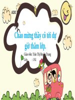 chuyên đề giáo dục địa phương 