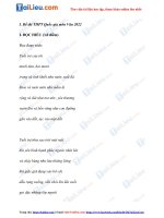 Đề thi THPT quốc gia 2022 môn ngữ văn (có đáp án) file pdf 