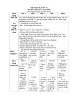 T24  MOT SO LOAI RAU 