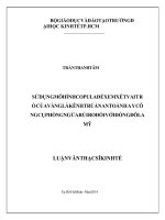 Sử dụng mô hình copula để xem xét vai trò của vàng là kênh trú ẩn an toàn hay công cụ phòng ngừa rủi ro đối với đồng đô la mỹ 