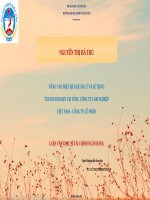 NÂNG CAO HIỆU QUẢ QUẢN LÝ VÀ SỬ DỤNG TÀI SẢN DÀI HẠN TẠI TỔNG CÔNG TY LÂM NGHIỆP VIỆT NAM – CÔNG TY CỔ PHẦN