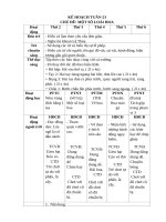 T23  một số LOÀI HOA 