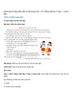 danh gia ki nang hieu biet va viet trang 146 147 tieng viet lop 2 tap 1 canh dieu 1vc8k 