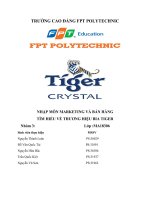 NHẬP môn MARKETING và bán HÀNG tìm HIỂU về THƯƠNG HIỆU BIA TIGER 