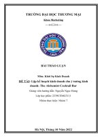 ĐỀ TÀI: Lập kế hoạch kinh doanh cho ý tưởng kinh doanh: The Alchemist Cocktail Bar