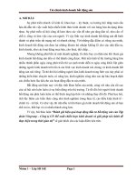 Đánh giá hiệu quả hoạt động đầu tư bất động sản của tập đoàn vingroup – công ty CP  đề xuất chiến lược kinh doanh và giải pháp tài chính để thực hiện 