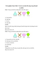 6 cau trac nghiem vai tro cua tinh doi xung trong the gioi tu nhien chan troi sang tao co dap an toan 6 