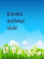 Giáo án tiếng việt lớp 4 tuần 22 TLV luyện tập quan sát cây cối 