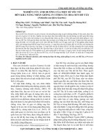 Nghiên cứu ảnh hưởng của một số yếu tố đến khả năng nhân giống in vitro cây hoa sen Hồ Tây (Nelumbo nucifera Gaertn.)