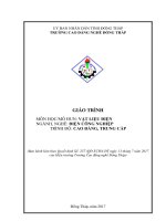 Giáo trình Vật liệu điện (Nghề: Điện công nghiệp - CĐ/TC) - Trường Cao đẳng nghề Đồng Tháp