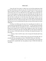 (Luận văn đại học thương mại) cải tiên mạng lƣới kênh phân phối cho sản phẩm điện máy công nghiệp của công ty TNHH thiết bị điện máy tuấn dũng trên thị trƣờng hà nội 