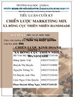 CHỌN 1 LĨNH vực KINH DOANH 1 sản PHẨM 1 NHÓM KHÁCH HÀNG mà bạn tâm đắt, hãy đề XUẤT CHIẾN lược MARKETING MIX để đáp ỨNG NHU cầu KHÁCH HÀNG mục TIÊU đó 